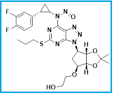 TICAGRELOR -3 NITROSO IMPURITY